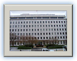 Unum Branch Unum Branch